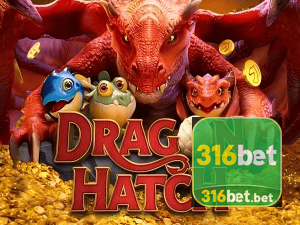 316BET PIX instantâneo Brasil - Depósito e saque em minutos 24/7