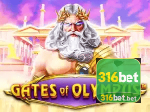 316BET APP mobile iOS Android - 187 mil downloads São Paulo Rio BH